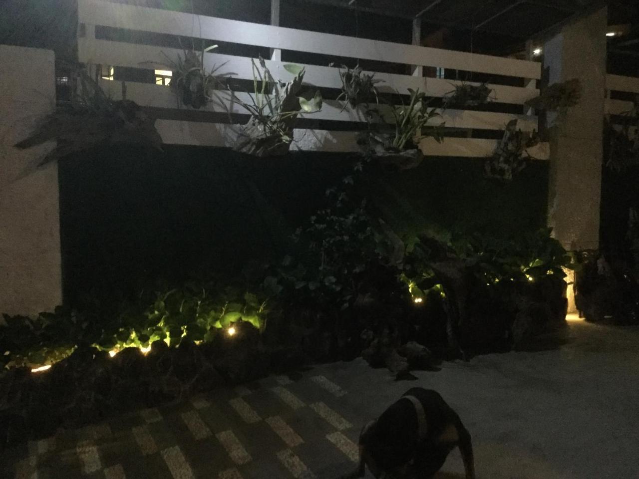Sky View Home Da Lat Zewnętrze zdjęcie
